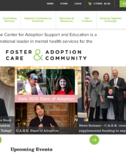 C.A.S.E. Center for Adoption Support and Education