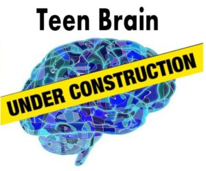 Brain Science and Development