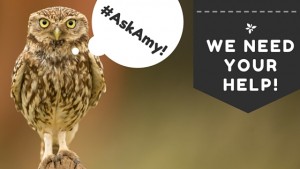 #AskAmy Survey Image(1)